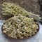 Лаванда сушёная 80г, Горный Крым GK-lavanda-80g